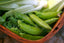 Spring Gardening Tips: Vegetables and More