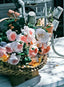 Old Fashioned Roses