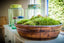 Hooray For Fall: 5 Ideas To Get You Inspired