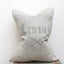 Stenciled Grain Sack Pillow c.1910
