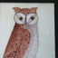 Little Hooter Print No.1